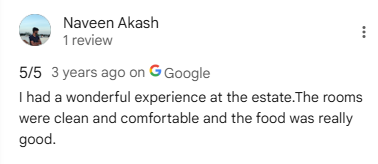 Google Review